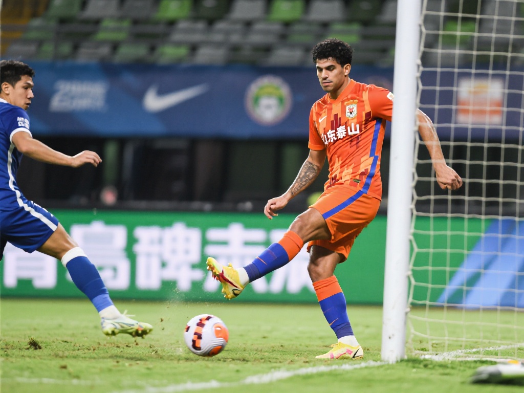 在接下来的 在接下来的